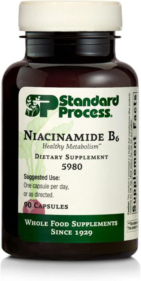 Standard Process Niacinamide B6 Whole Food Energy and Metabolism Supplements, 90 Capsules