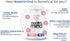 Brain Supplements for Memory and Focus, Nootropic Support with Bacopa, Vitamins B6 B12, Phosphatidylserine, DMAE, 60