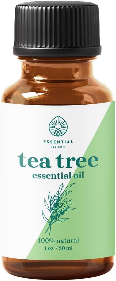 Tea Tree Essential Oil 1 oz by Essential Delights - 100% Pure & Certified Distilled Oil