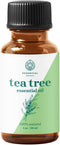 Tea Tree Essential Oil 1 oz by Essential Delights - 100% Pure & Certified Distilled Oil