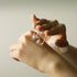 LU'PIUM Extreme Recharge Day Cream, 50ml, Korean Skin Care, Nourishing Moisturizing Anti-aging, Relieving Skin Stress