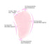 Jovivi Natural Rose Quartz Stone Gua Sha Scraping Massage Tool, Wing-Shape Healing Crystal Facial Massager