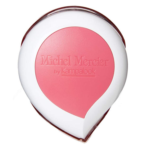 Michel Mercier Travel Hair Brush - Compact Wet Dry Detangling Brush for Curly Hair, Fine Hair, for Women and Men