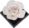 MOLIMAO Rose Flower Styling Essential Oil Diffuser Stone, Non-Electric, Handmade Products, Decorative Tabletops,