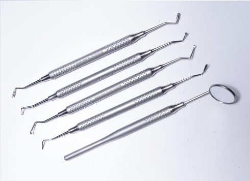 QUANTAFIT EXPORTS 5PCS Dental Teeth Cleaning Kit Dentist Floss Plaque Remover Oral Care Tooth Tool