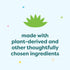 Babyganics Foaming Dish & Bottle Soap, Fragrance Free, Plant-Derived Cleaning Power, 32 Fl Oz (Pack of 2)