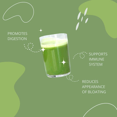 Consult Health Gut-Duction Bloat Control, Gut Health Support Superfood Formula, Plant Based Proteins, 28 Servings