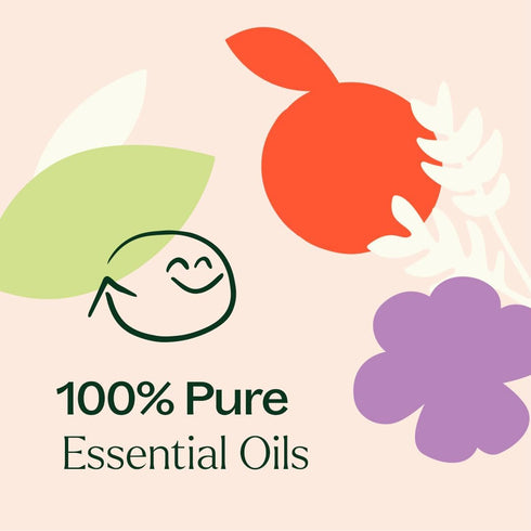 Reset Set Plant Therapy The Spring Essential Oil - Three Exclusive Spring-Focused Blends, Citrus Rise, Wildflower Calm