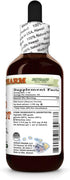 Hawaii Pharm 2 fl.oz Wild Carrot (Daucus Carota) Dry Seed Glycerite, All Natural, Vegan, Lab Tested Alcohol-Free Liquid