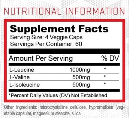 BCAA Capsules by Purus Labs Foundation Series - 240 Capsules for Recovery, Endurance, Strength