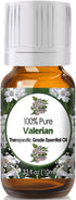 Valerian Essential Oil - Diffuse Essential Oils 10ml - 0.33 Fluid Ounces