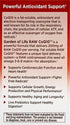 Garden of Life Vegetarian Omega 3 6 9 Supplement, Raw CoQ10 Chia Seed Oil, Antioxidant Support, 60 Capsules