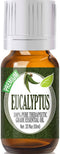 Healing Solutions Eucalyptus Essential Oil 10ml - 0.33 Fluid Ounces