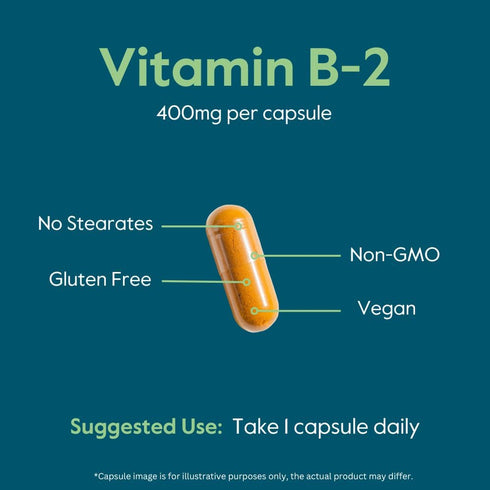 BESTVITE Vitamin B-2 (Riboflavin) 400mg, 120 Vegetarian Capsules, Vegan, Non-GMO, Gluten Free