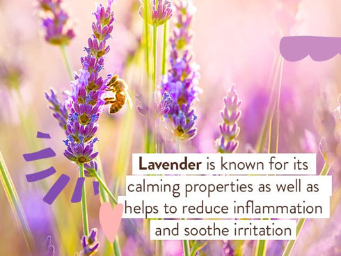 Calming Lavender 2-in-1 Bubble Bath & Wash by Babo Botanicals - Relaxing Chamomile & Lavender - EWG Verified - Vegan -