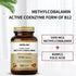 Vitamin B12 (Methylcobalamin) 5000 mcg, Folic Acid (Vitamin B9 Folate) 120 Chewable Tablets for Cirrhosis and Liver