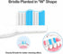 Replacement Toothbrush Heads for fairywill Electric Toothbrush, Model FW-507/FW-508/2011/959/917/551 (12 Pack)