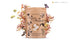 Memoir Organic Silkworm Finger Rub - Facial Cleanser, Blackhead & Acne Scar Removal, Anti-Aging Scrub