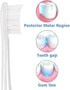 SAVTMVAS 10 2.0 3.0 Pcs Replacement Toothbrush Heads for Boka & Electric Toothbrush Adults with Dust Cover, White