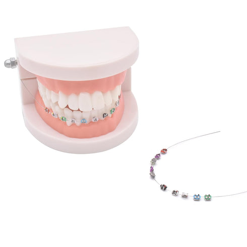 Angzhili 1 Pack Temporary Tooth Decoration - Metal Wires, Bracket, Orthodontic Ligature Ties, Practice Props for Dental
