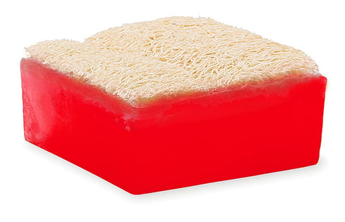 Primal Elements Watermelon Loofah Bar Soap, 5 Ounce
