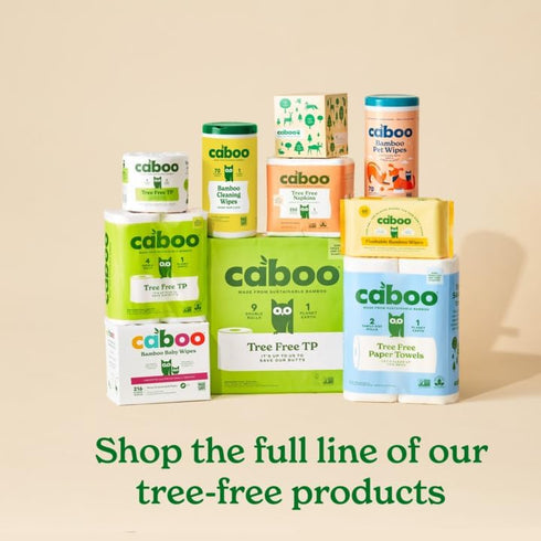 Caboo Tree Free Paper Towels, 6 Rolls, Eco Friendly, Sustainable Kitchen Paper Towels with Strong 2 Ply Sheets