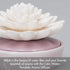 Pink Porcelain Aroma Diffuser for Calm and Relaxation