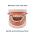 1040 O-Rings - Orthodontic Elastomeric Ligature Ties for Braces, Elastic O-Ring Rubber Bands (Pastel Blue)