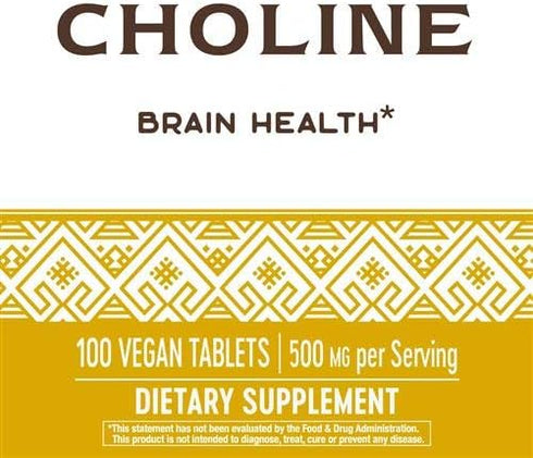Nature's Way Choline 500 mg, 100 Tablets, Pack of 2 for Health Supplement
