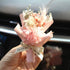 Mini Dried Flowers Bouquet for Car Air Vent Clips, Car Air Fresheners, Interior Accessories