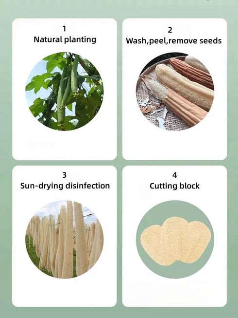 WOCATS 6pcs Natural Loofah Dish Sponges - Non-Scratch Biodegradable Scrubber for Kitchen Dishwashing