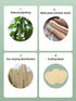 WOCATS 6pcs Natural Loofah Dish Sponges - Non-Scratch Biodegradable Scrubber for Kitchen Dishwashing