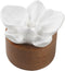 Vobumix Essential Oil Passive Flower Diffuser Mini Ceramic Essential Oil Small Diffuser Phalaenopsis