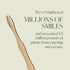 Plus Ultra Bamboo Toothbrush - Soft Bristle, BPA Free, Dentist-Approved All-Natural Toothbrush for Adults