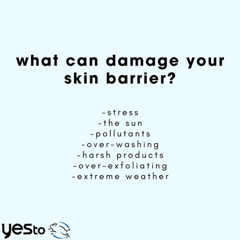Yes To Intense Hydration Serum with Hyaluronic Acid, Avocado Oil, Vitamin B, Natural, Vegan & Cruelty Free, 0.95 Fl Oz