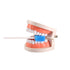 Wellgler's Oral Care Swabs Disposable - Blue, 100 Counts for Convenient Oral Hygiene