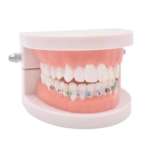 Angzhili 1 Pack Temporary Tooth Decoration - Metal Wires, Bracket, Orthodontic Ligature Ties, Practice Props for Dental
