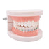 Angzhili 1 Pack Temporary Tooth Decoration - Metal Wires, Bracket, Orthodontic Ligature Ties, Practice Props for Dental