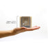 Plantlife Oatmeal Almond 3-Pack Bar Soap - Moisturizing and Soothing Handcrafted Soap - 4oz Bar