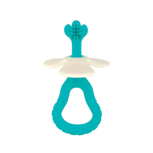 Dr. Talbot's 2-Piece Infant Toothbrush Training Set, Easy Grip Handle for 6+ Months
