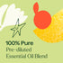 Plant Therapy Crave Control Essential Oil Blend - Pre-Dilute Roll-On 10 mL, 100% Pure