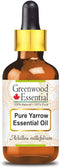 Pure Yarrow Essential Oil (Achillea millefolium) - Steam Distilled 10ml (0.33 oz) with Glass Dropper