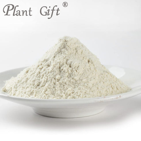 Plant Gift 100% 100G/3.25oz Pure Euryales Semen Powder Natural Gorgon Fruit Flour, Great Flavor for Drinks,Adds Flavor