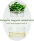 I'm from Mugwort Mask 1.01 Fl Oz, Enjoy Fast Soothing and Cooling