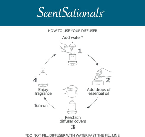Scentsationals Eclectic Diffuser, Scented Essential Oils, Classic Aromatherapy Aroma User, Electric Fragrance Home Air