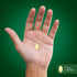 Piping Rock Odorless Garlic and Parsley Pills 500mg, 250 Softgel Capsules, Non-GMO, Gluten Free