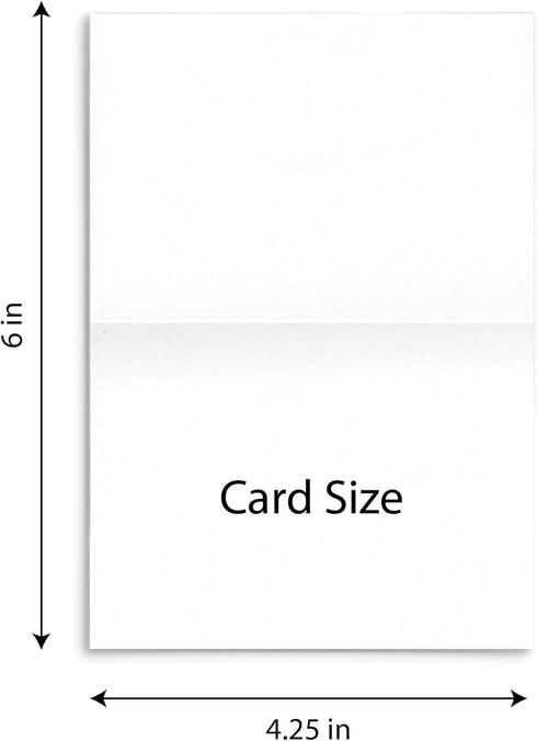Quni Set (24 Brand Dalmatian Note Card Cards and Blank Envelopes)