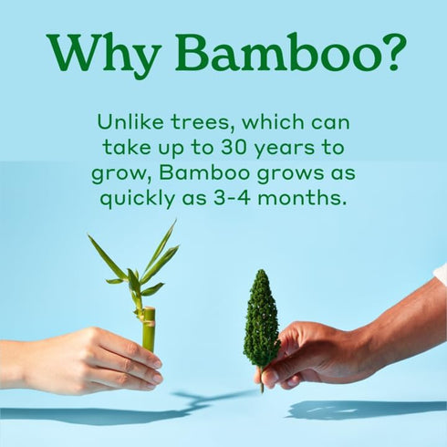 Caboo Tree Free Paper Towels, 6 Rolls, Eco Friendly, Sustainable Kitchen Paper Towels with Strong 2 Ply Sheets