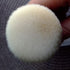 Vela.Yue Large Foundation Brush Soft Dense Full Coverage Buffing Blending Makeup Brush