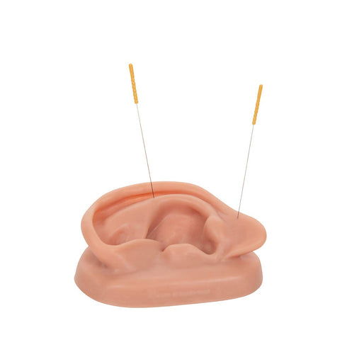 3B Scientific N15/1R SKINlike Silicone Right Acupuncture Ear Model, 3.7" x 2.4" x 1.6"